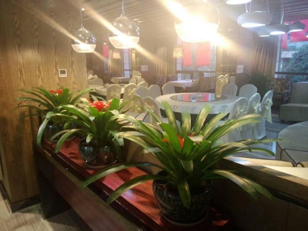 Chengdu Hello Hotel CTU Eksteriør bilde